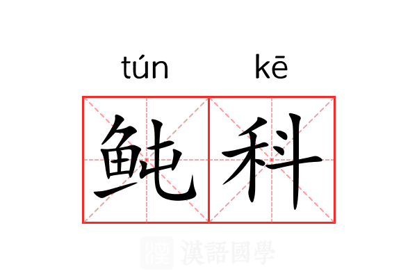 鲀科 鲀科