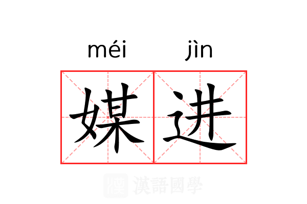媒进 媒进