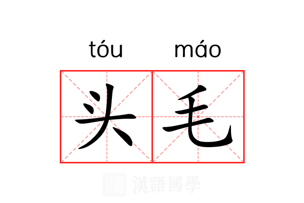 头毛 头毛