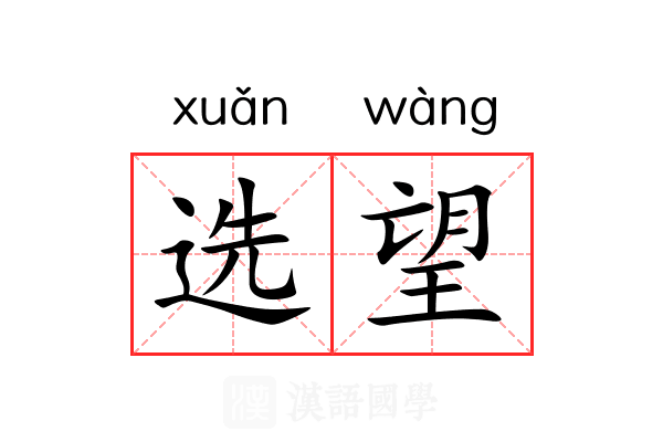 选望 选望