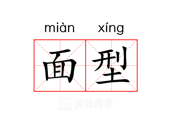 面型 面型