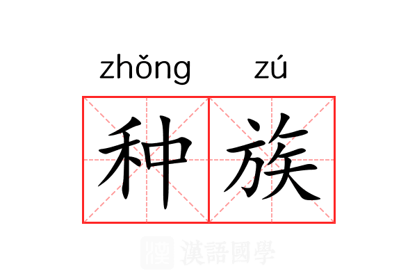 种族