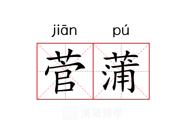 菅蒲 菅蒲