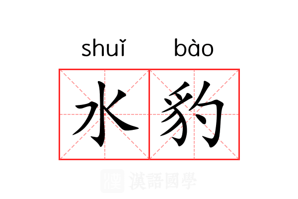 水豹 水豹