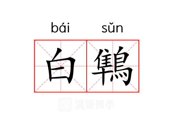 白鶽 白鶽