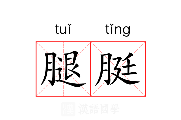 腿脡