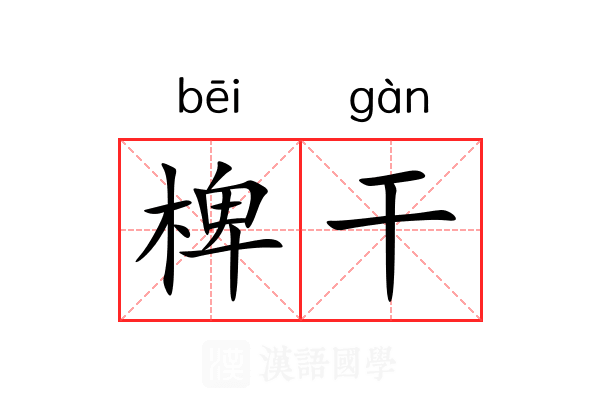 椑干 椑干