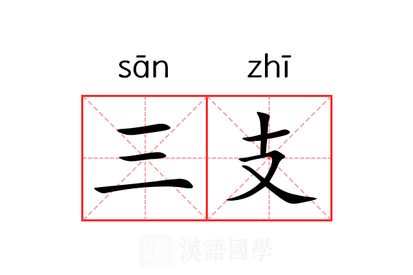 三支 三支