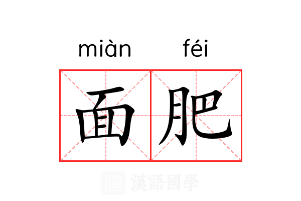 面肥 面肥