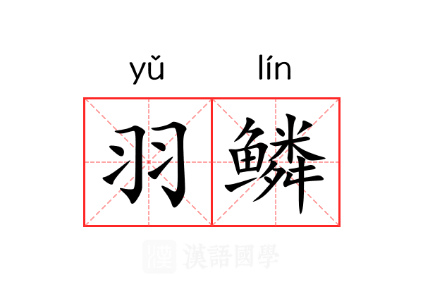 羽鳞