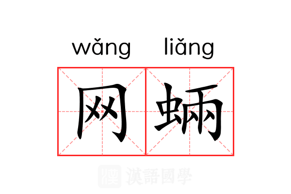 网蜽