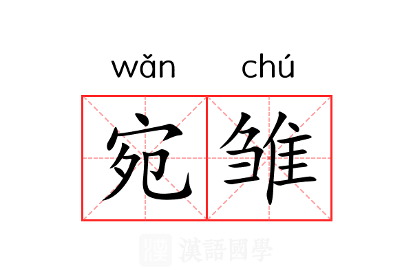 宛雏