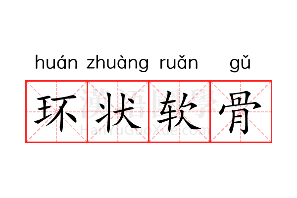 环状软骨 环状软骨