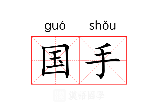 国手 国手