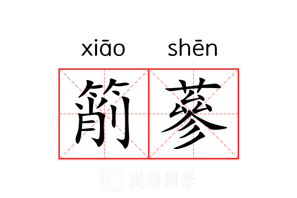 箾蔘