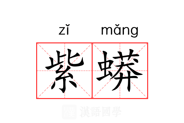 紫蟒 紫蟒