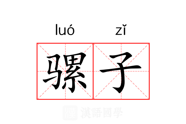 骡子 骡子