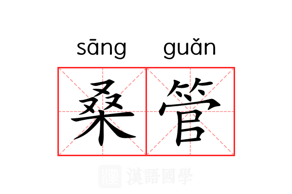 桑管