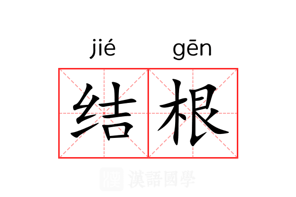 结根 结根