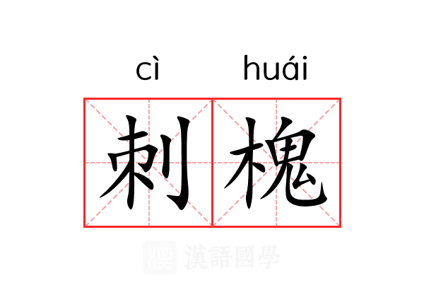 刺槐 刺槐