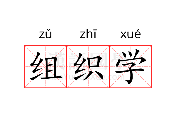 组织学