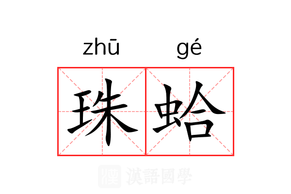 珠蛤