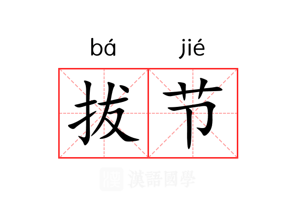 拔节