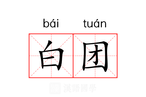 白团 白团