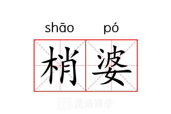 梢婆 梢婆