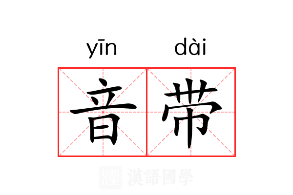 音带