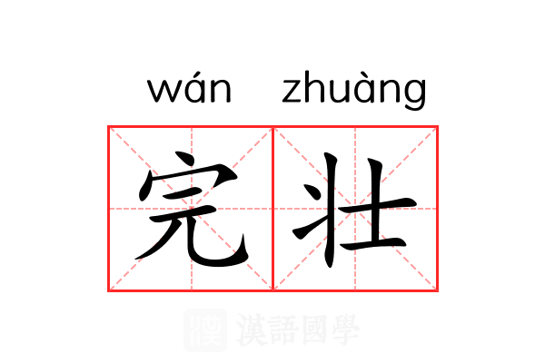 完壮