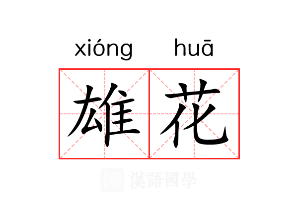 雄花 雄花