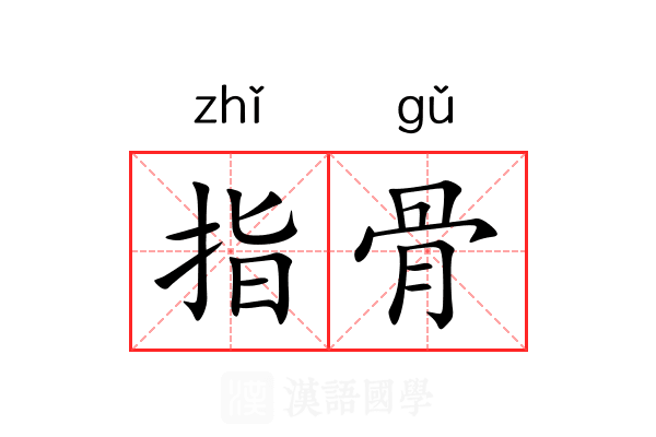 指骨