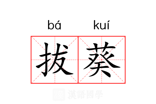 拔葵