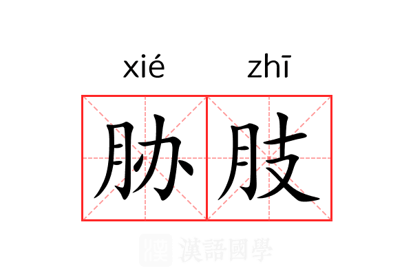 胁肢