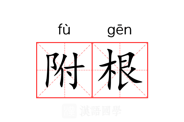 附根 附根