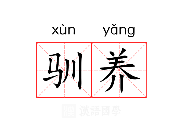 驯养