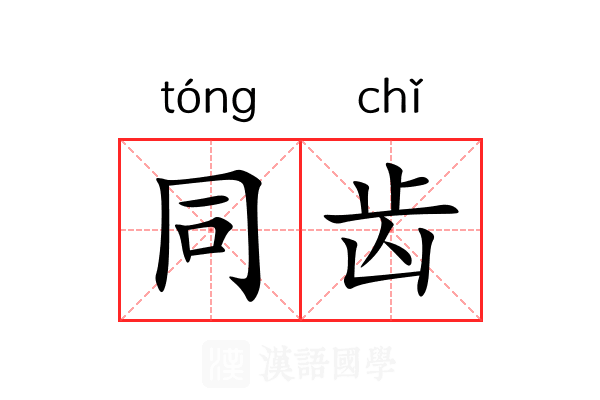 同齿 同齿