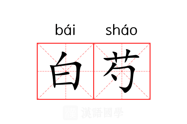 白芍 白芍