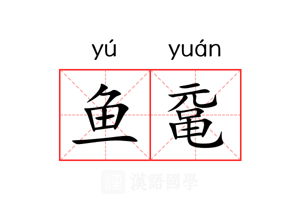 鱼鼋