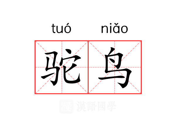 驼鸟