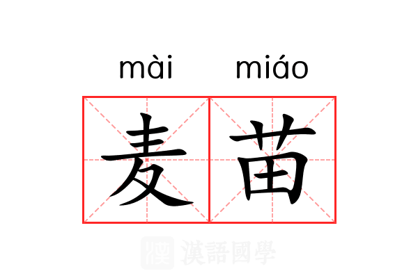 麦苗