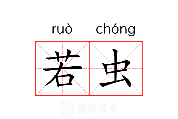 若虫 若虫