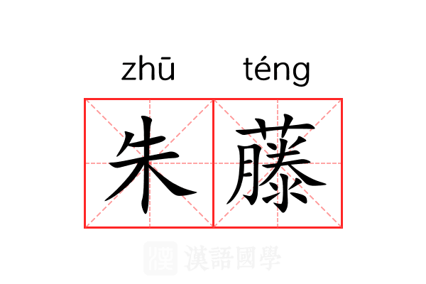 朱藤 朱藤