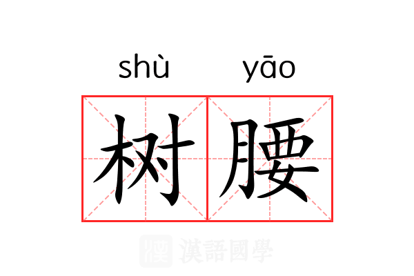 树腰
