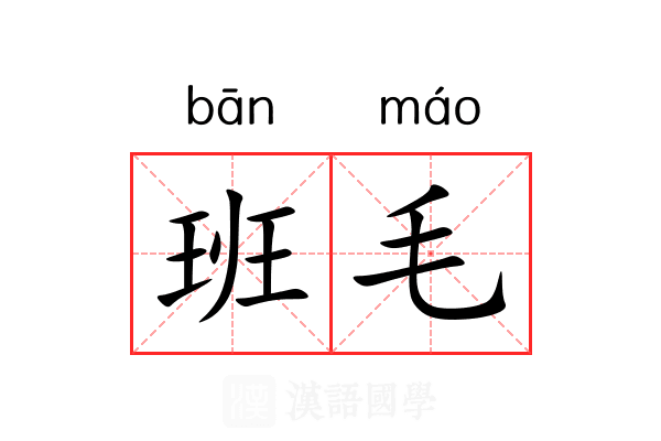 班毛 班毛