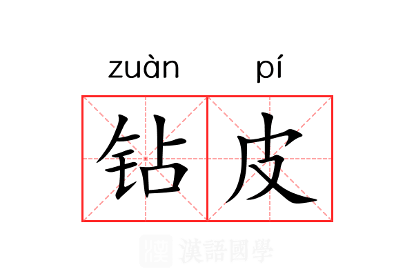 钻皮