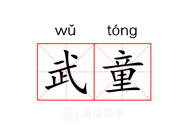 武童 武童