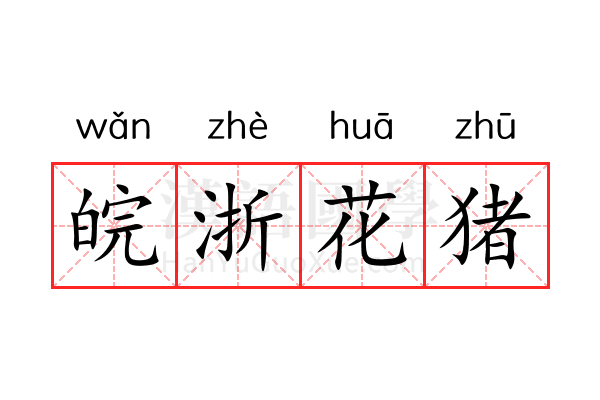 皖浙花猪 皖浙花猪