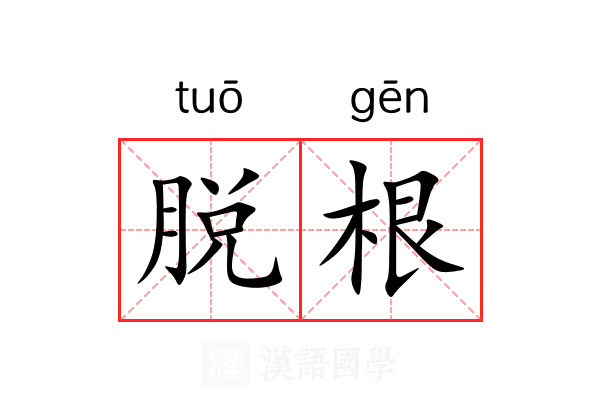 脱根 脱根
